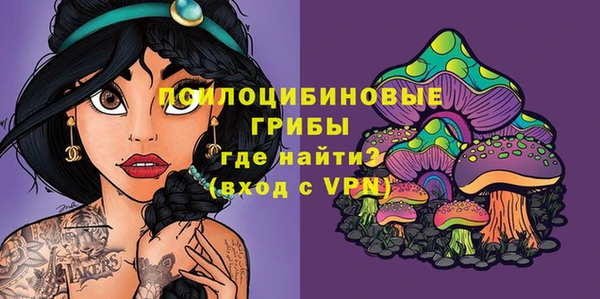 бошки Заволжск