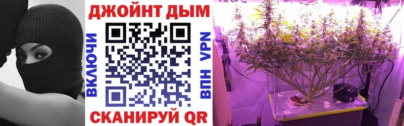 Купить где  Ершов  Канабис SATIVA & INDICA 